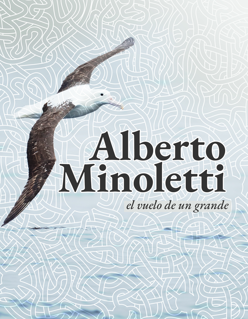 							Ver 2021: Número especial "Alberto Minoletti, el vuelo de un grande"
						